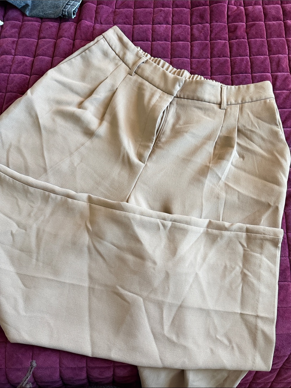 Joie Beige Pleated Trousers